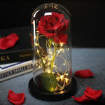 La Rose Éternelle - Sous Cloche Lumineuse - Cadeau Saint Valentin
